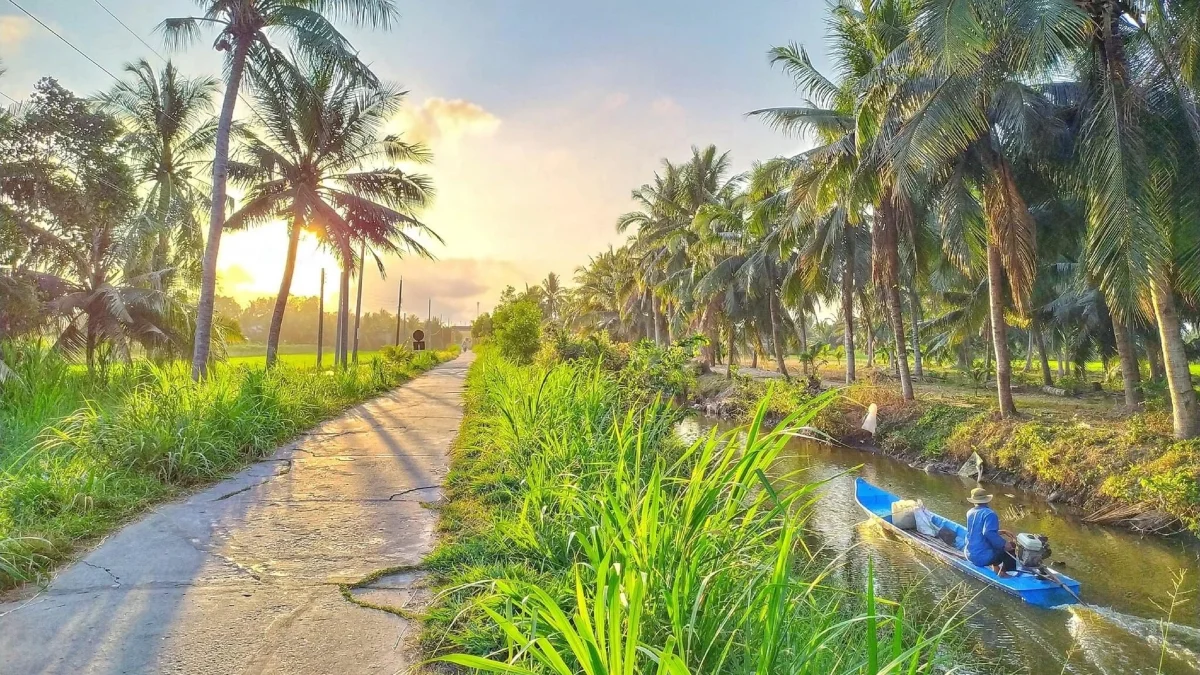 Ben Tre coconut groves