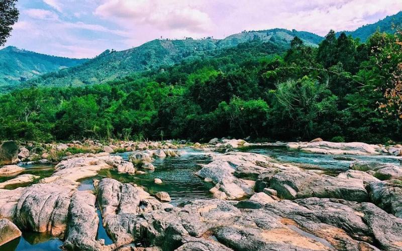 Discover Củ Chi Ecotourism: A Perfect Blend of History, Nature and Culture