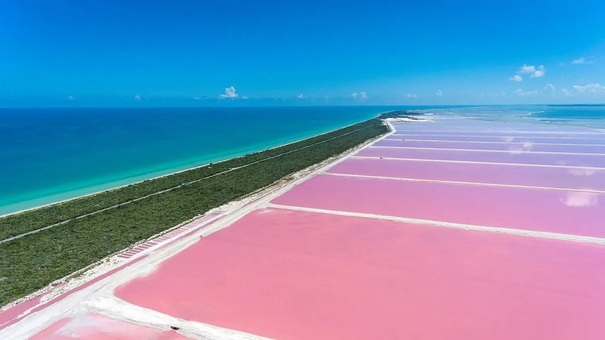 Las Coloradas