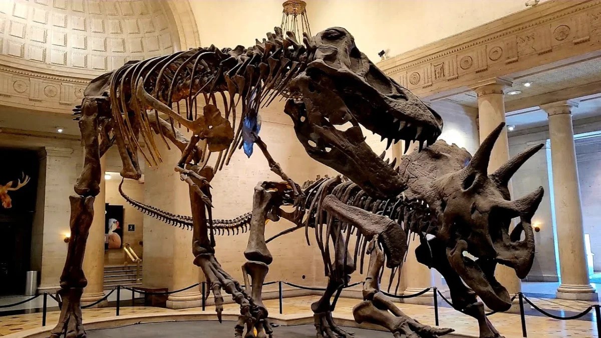 Natural History Museum of Los Angeles
