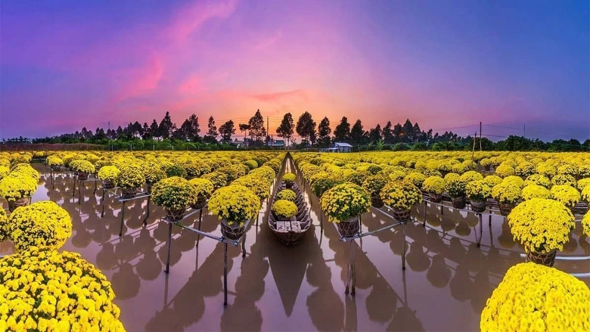 Sa Dec Flower Village in Dong Thap
