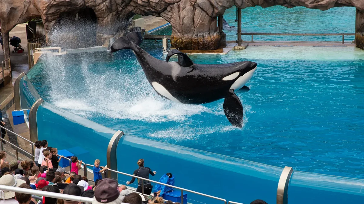 SeaWorld San Diego