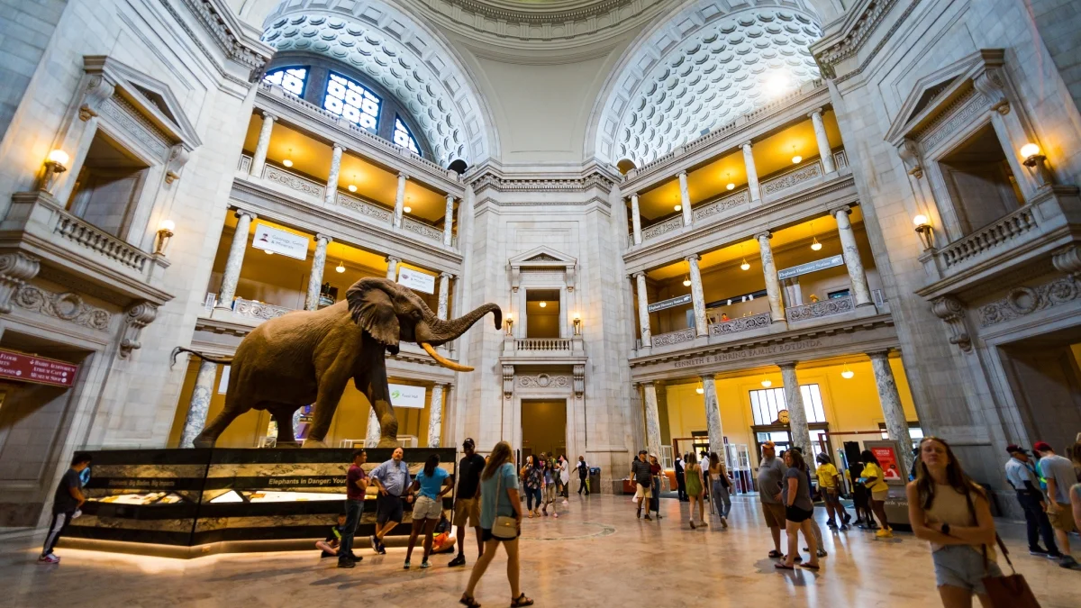 Smithsonian Museums
