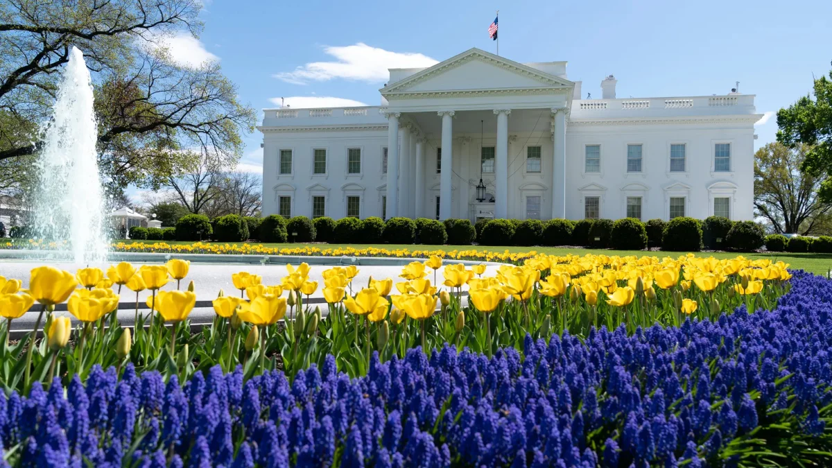 The White House