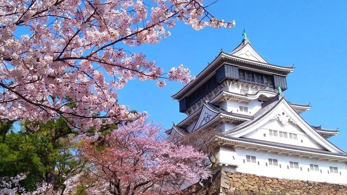 Fukuoka Castle