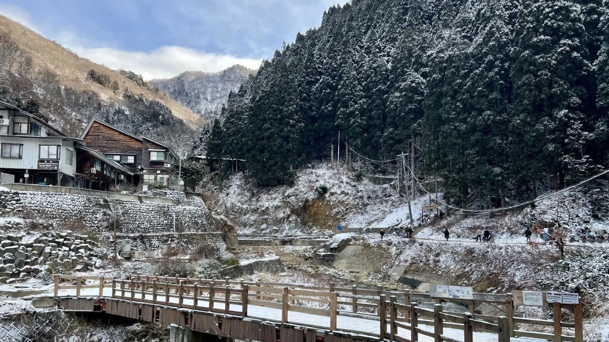 Jigokudani Monkey Park