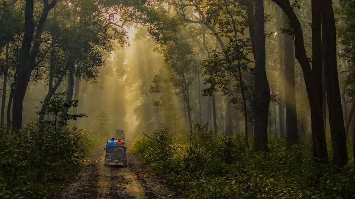 Jim Corbett National Park