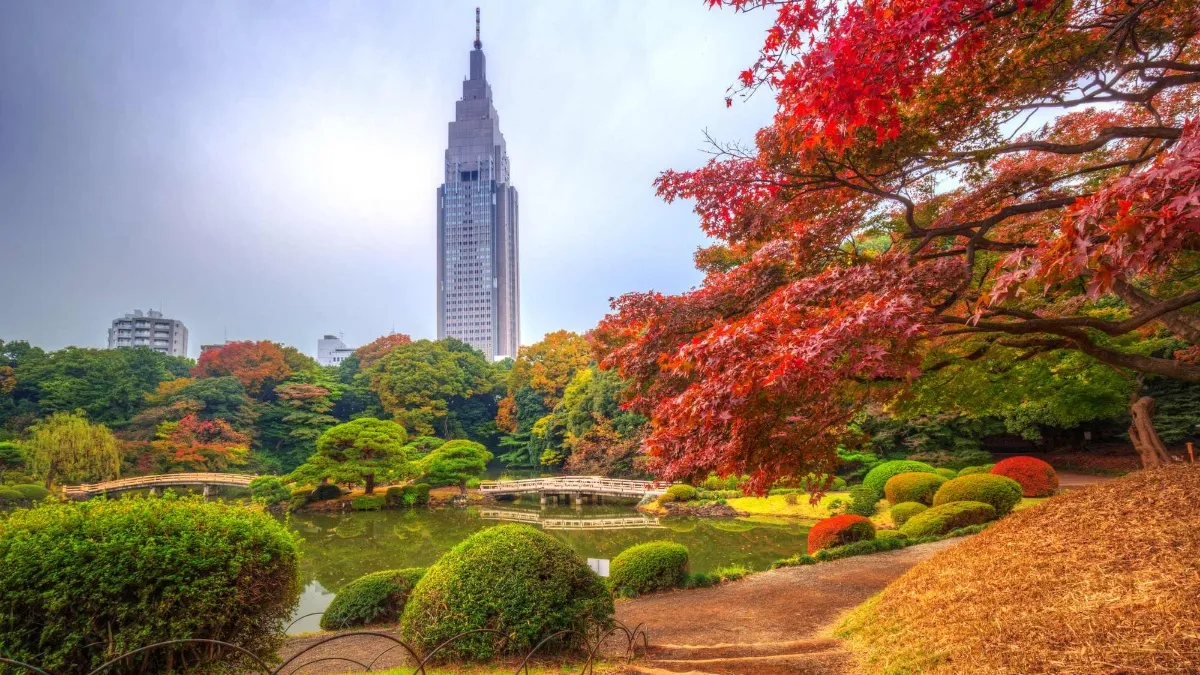 Shinjuku Gyoen National Garden