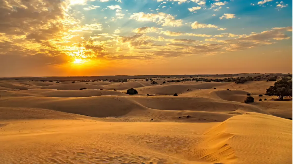 Thar Desert