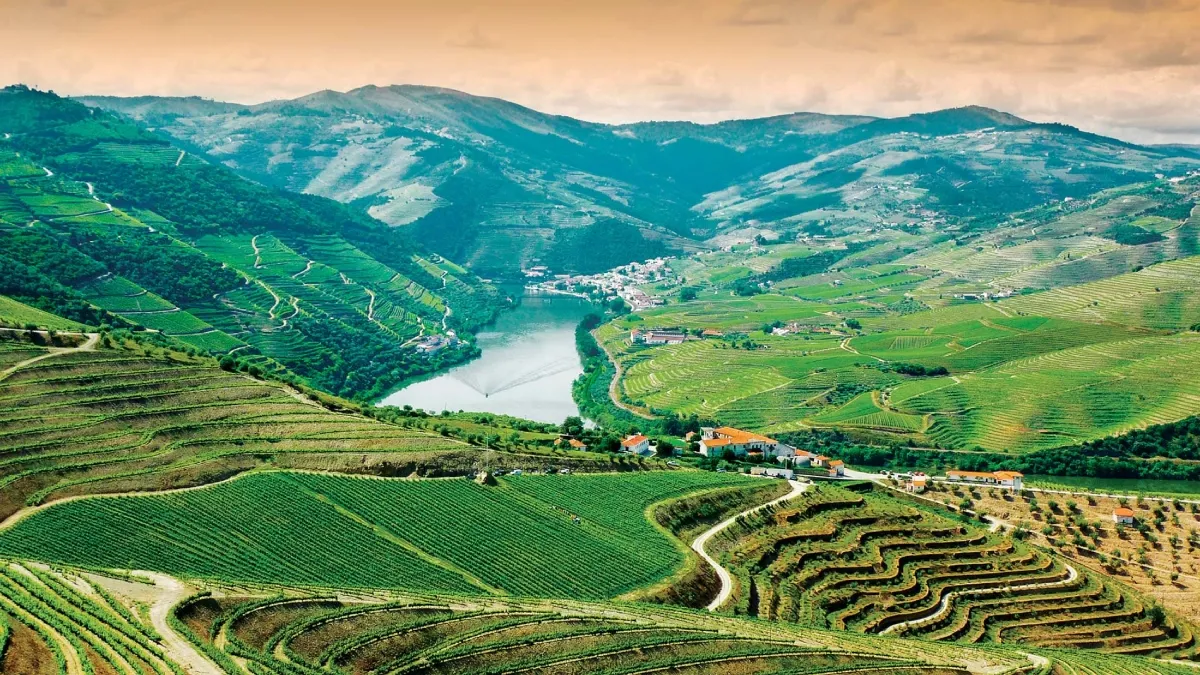 The Douro Valley